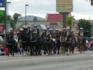 Escondidio Mounted Posse 25 (1) 