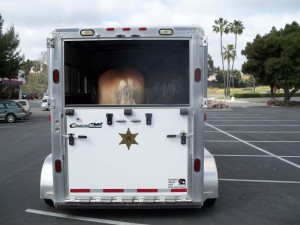 Escondidio Mounted Posse 6 (1) 